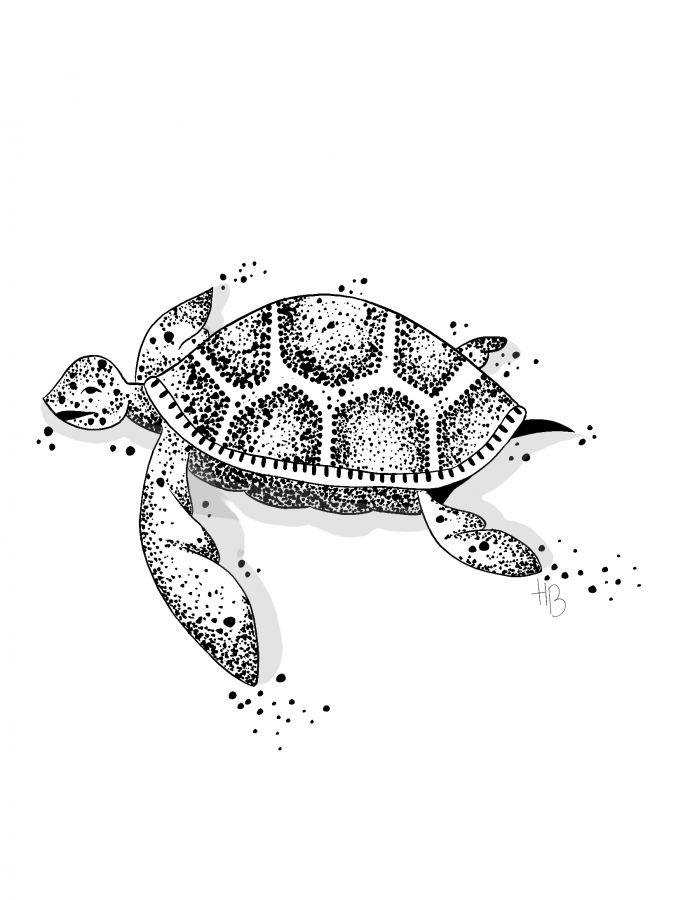 Illustration_sans_titre 1