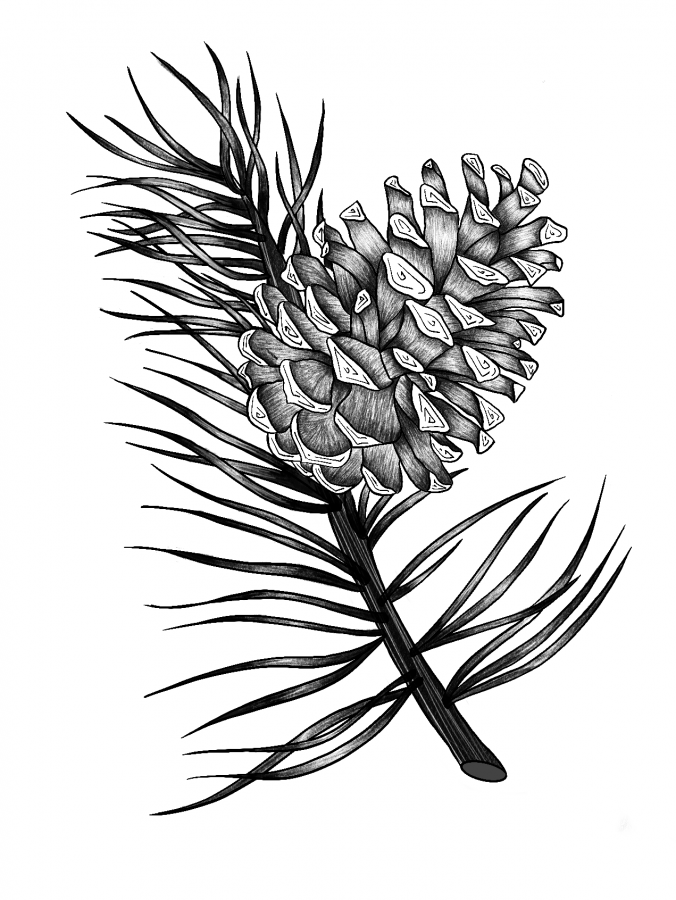 Illustration_sans_titre